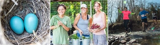 spring events collage