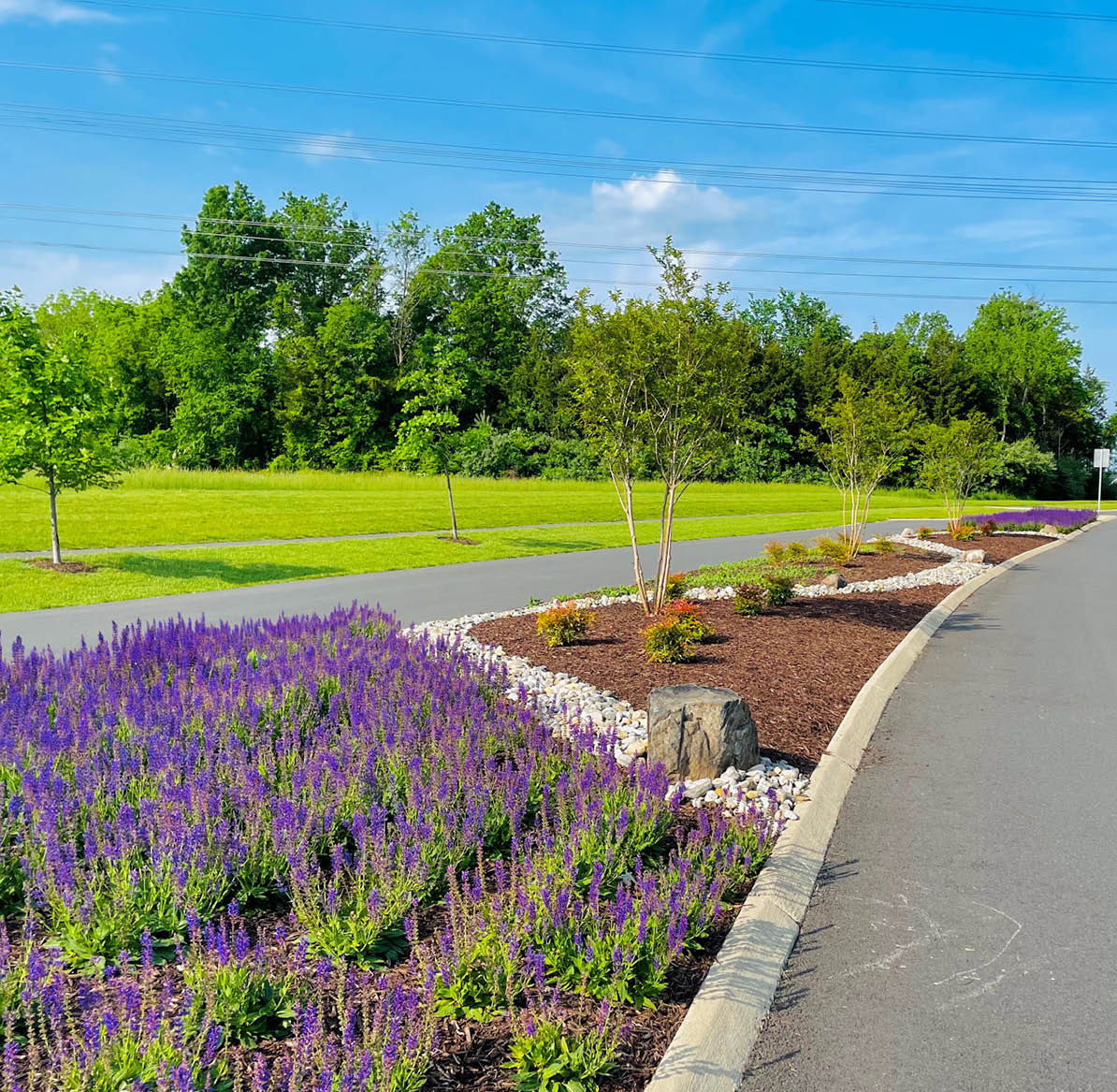 Cullen Run Landscaping2